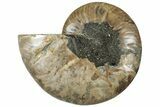 Cut & Polished Ammonite Fossil (Half) - Madagascar #308624-1